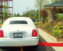 Limo and Red Carpet Service